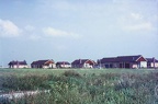 032-135c - Vogelenzang