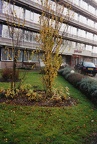 030-136 - Lijsterweg - Verzorgingshuis Parkzicht - 1998